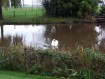 081102Herfstwandeling003.jpg: 640x480, 104k (May 16, 2024, at 07:49 PM)