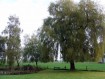 081102Herfstwandeling010.jpg: 640x480, 106k (May 16, 2024, at 07:49 PM)