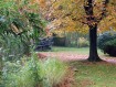 081102Herfstwandeling013.jpg: 640x480, 146k (May 16, 2024, at 07:49 PM)