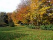 081102Herfstwandeling053.jpg: 640x480, 141k (May 16, 2024, at 07:49 PM)
