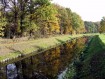 081102Herfstwandeling064.jpg: 640x480, 132k (May 16, 2024, at 07:49 PM)