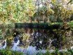 081102Herfstwandeling067.jpg: 640x480, 163k (May 16, 2024, at 07:49 PM)