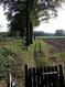 081102Herfstwandeling068.jpg: 360x480, 78k (May 16, 2024, at 07:49 PM)