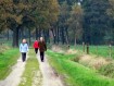 081102Herfstwandeling082.jpg: 640x480, 86k (May 16, 2024, at 07:49 PM)