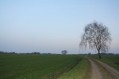 090322Lentewandeling001.jpg: 720x480, 45k (May 16, 2024, at 07:49 PM)