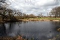090322Lentewandeling084.jpg: 720x480, 100k (May 16, 2024, at 07:49 PM)