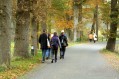091101Herfstwandeling052.jpg: 720x480, 114k (May 16, 2024, at 07:49 PM)