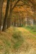 091101Herfstwandeling066.jpg: 320x480, 70k (May 16, 2024, at 07:49 PM)