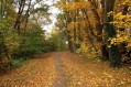 091101Herfstwandeling068.jpg: 720x480, 162k (May 16, 2024, at 07:49 PM)