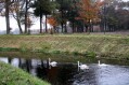 091101Herfstwandeling069.jpg: 720x480, 135k (May 16, 2024, at 07:49 PM)