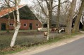 100328Lentewandeling019.jpg: 720x480, 168k (May 16, 2024, at 07:49 PM)