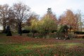 101107Herfstwandeling007.jpg: 720x480, 126k (May 16, 2024, at 07:50 PM)