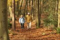 101107Herfstwandeling055.jpg: 720x480, 160k (May 16, 2024, at 07:50 PM)