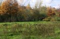 101107Herfstwandeling062.jpg: 720x480, 137k (May 16, 2024, at 07:50 PM)