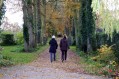 101107Herfstwandeling077.jpg: 720x480, 142k (May 16, 2024, at 07:50 PM)