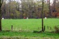 101107Herfstwandeling084.jpg: 720x480, 123k (May 16, 2024, at 07:50 PM)