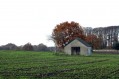 101107Herfstwandeling088.jpg: 720x480, 93k (May 16, 2024, at 07:50 PM)