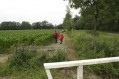 1100703_Zomerwandeling69.jpg: 900x600, 186k (May 16, 2024, at 07:50 PM)