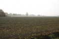 111106_Herfstwandeling01.jpg: 900x600, 136k (May 16, 2024, at 07:50 PM)
