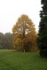 111106_Herfstwandeling40.jpg: 400x600, 73k (May 16, 2024, at 07:50 PM)