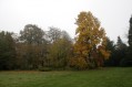 111106_Herfstwandeling42.jpg: 900x600, 131k (May 16, 2024, at 07:50 PM)