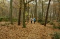 111106_Herfstwandeling52.jpg: 900x600, 212k (May 16, 2024, at 07:50 PM)