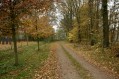 111106_Herfstwandeling62.jpg: 900x600, 245k (May 16, 2024, at 07:50 PM)