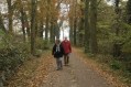 111106_Herfstwandeling66.jpg: 900x600, 233k (May 16, 2024, at 07:50 PM)