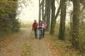 111106_Herfstwandeling69.jpg: 900x600, 213k (May 16, 2024, at 07:50 PM)