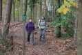 121104Herfstwandeling26.jpg: 900x600, 185k (May 16, 2024, at 07:50 PM)