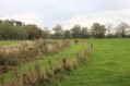 121104Herfstwandeling39.jpg: 900x600, 114k (May 16, 2024, at 07:50 PM)