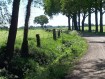 180506Lentewandeling30.jpg: 800x600, 260k (May 16, 2024, at 07:50 PM)
