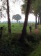181104Herfstwandeling21.jpg: 600x800, 432k (May 16, 2024, at 07:50 PM)